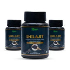 Ayurveda Shilajit Capsule