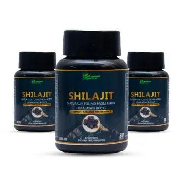 Ayurveda Shilajit Capsule